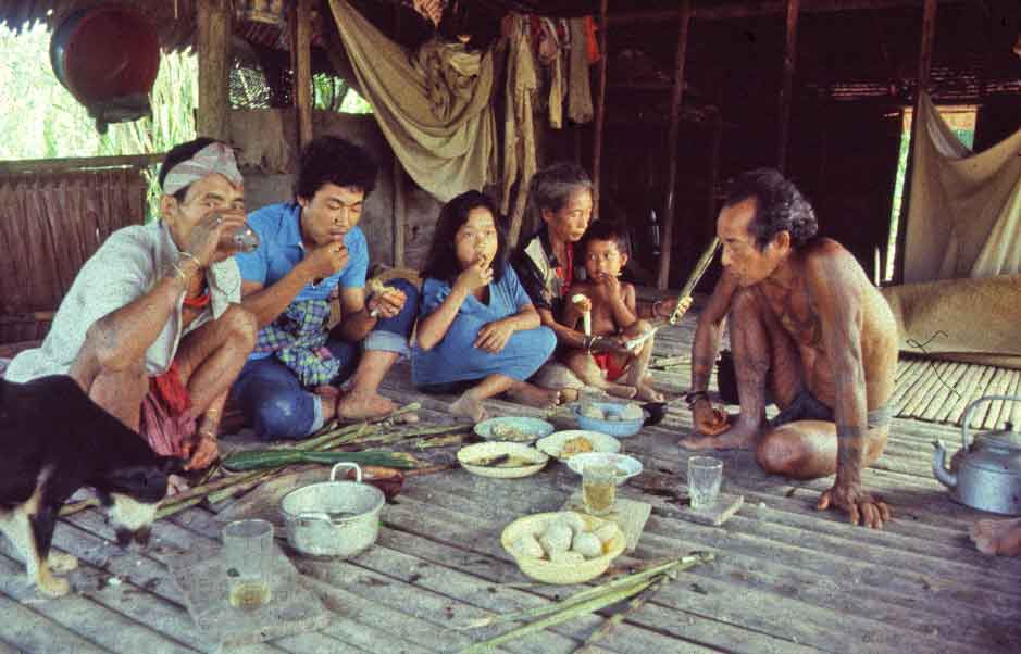 mentawai