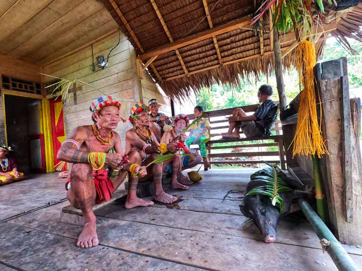 mentawai